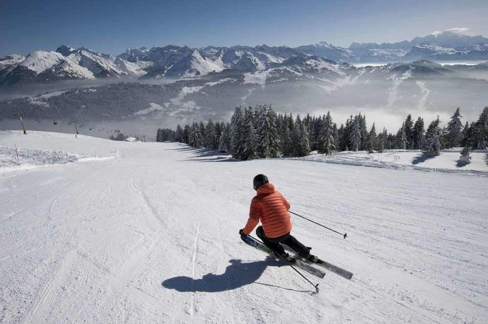 Chalet Hotel Regina Les Gets Εξωτερικό φωτογραφία